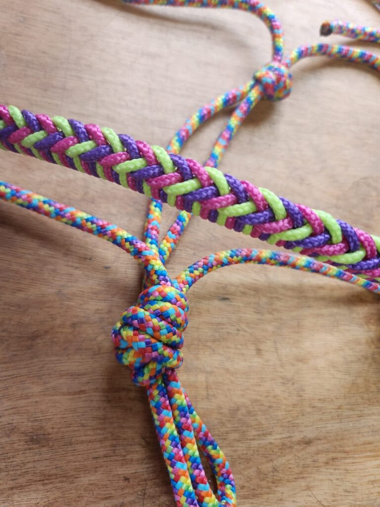 Touwhalster Regenboog met Neusband Maat Pony